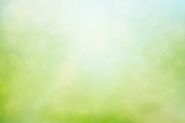istock Abstract blur spring background. Green and blue bokeh 1150729866