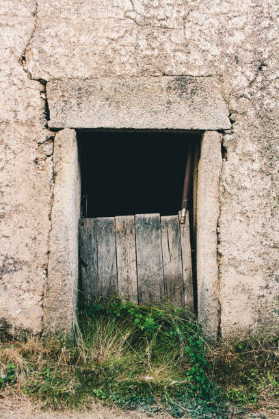istock Wooden old door on a stone wall 1150730576