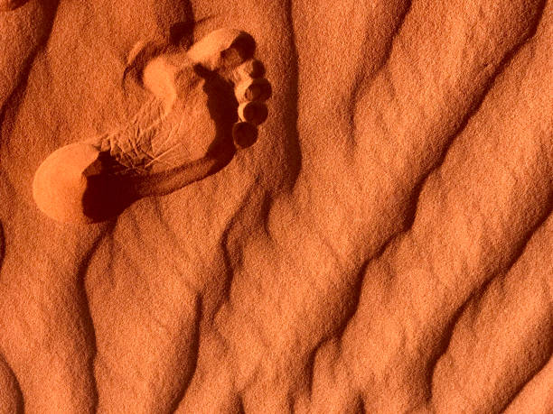 Footprint in Sand stock photo
