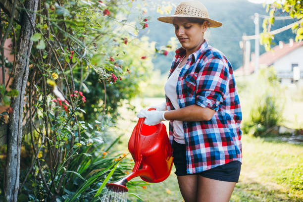 istock Cheerful gardener watering plants 1150733289