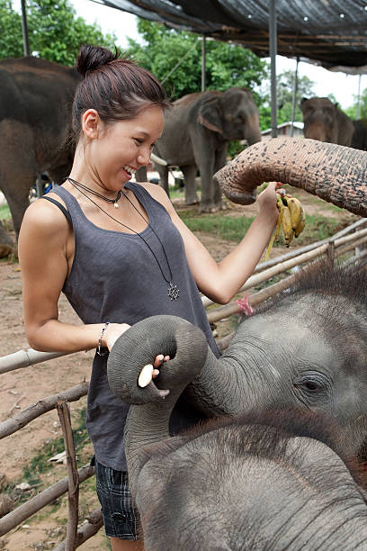 istock girl is feeding baby elephant 115073519