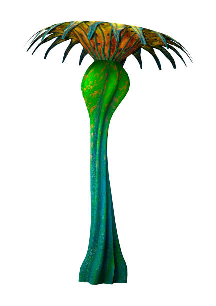3D illustration alien plant on white