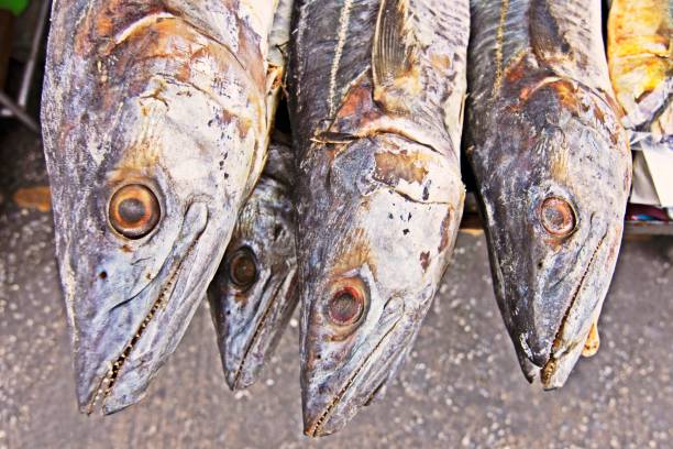 istock Dried fish - Bangkok fish market. 1150737967