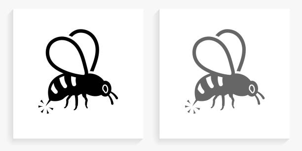 꿀벌 쐐기 검은 색과 흰색 사각형 아이콘 - stinging stock illustrations