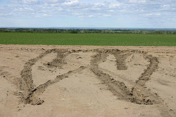 Heart shaped tire tracks left on muddy road.