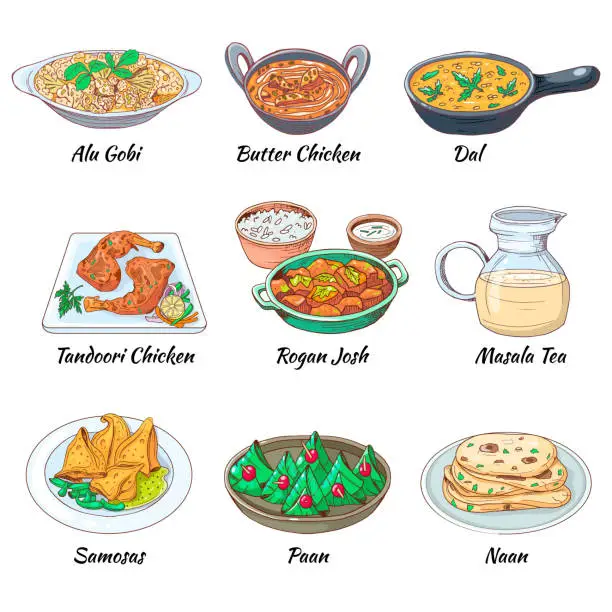 Vector illustration of Indian food set. Asian traditional cuisine collection with different dishes and drink. Masala tea and Dal, Butter chicken and alu gobi, samosas and paan  naan. Vector hand drawn illustration.