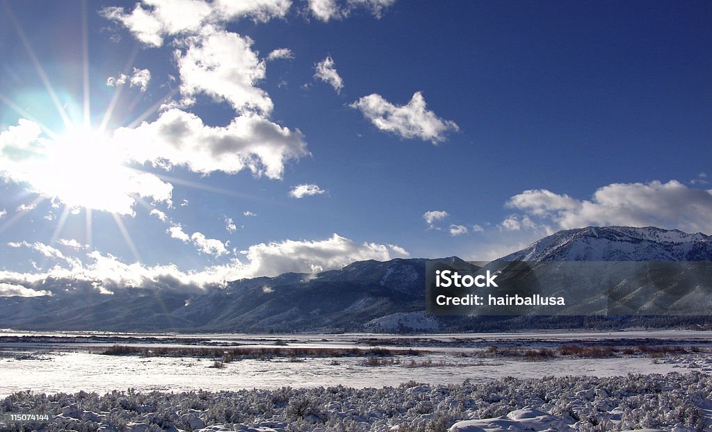 Inverno na Washoe Valley - Foto de stock de Artemísia royalty-free