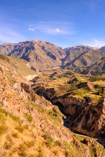 istock Stepped terraces in Colca Canyon in Peru 1150742218