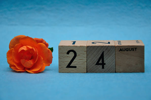 istock 24 August on wooden blocks with an orange rose on a blue background 1150742276