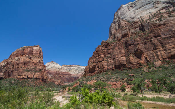 istock zion national park 1150742823