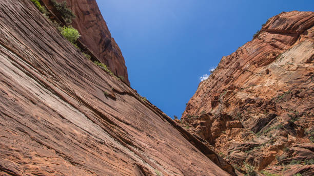 istock zion national park 1150742856
