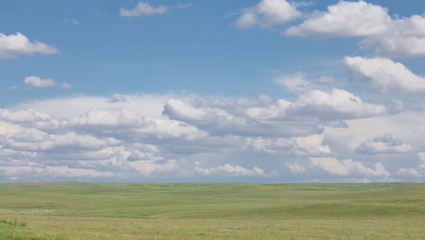 istock panoramic beautiful summer landscape, green field and blue sky with white clouds 1150743095