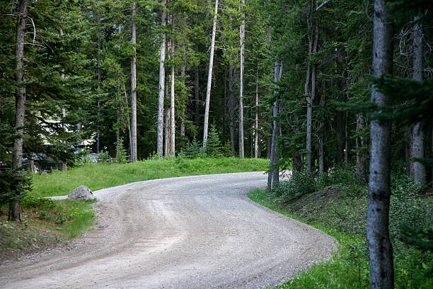 istock Dirt Road - S-Cruve 115074324
