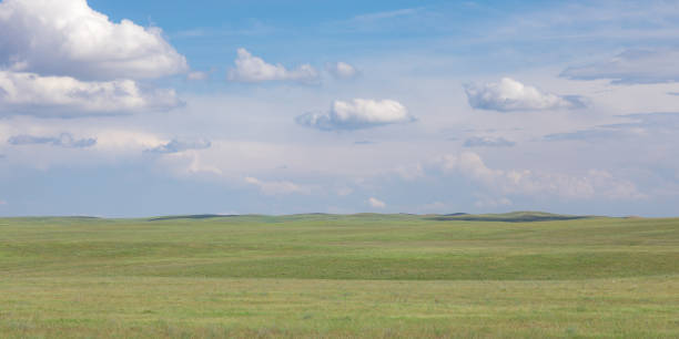 istock panoramic beautiful summer landscape, green field and blue sky with white clouds 1150744301