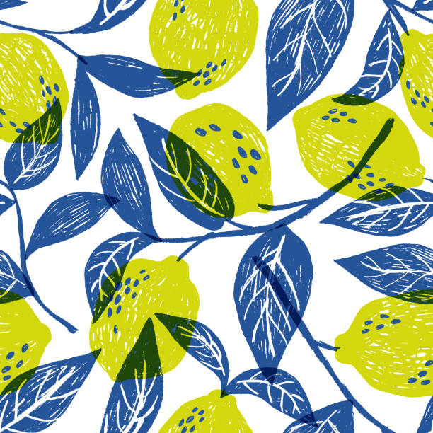 illustrations, cliparts, dessins animés et icônes de motif vectoriel - citrus fruit