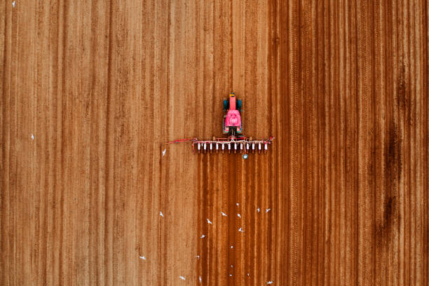Agriculture Agriculture. Tractor prepare field to seed. Aerial view. Farming. Agriculture background. overcasting stock pictures, royalty-free photos & images