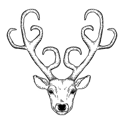 Hand Drawn Deer Head Tribal Style Stock Illustration - Download Image Now - Animal, Animal Body Part, Animal Head - iStock Hand Drawn Deer Head Tribal Style Stock Illustration - Download Image Now - Animal, Animal Body Part, Animal Head - iStock