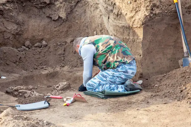 Archaeological excavation. Archaeologist in a digger process, conducting research on human bones, part of skeleton and skull in the ground, tools (shovel, brush, tape-measure) near. Outdoors.