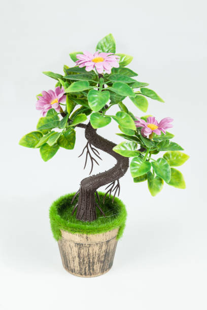 istock Decoration, small and beautiful artificial ornamental plant. 1150753140