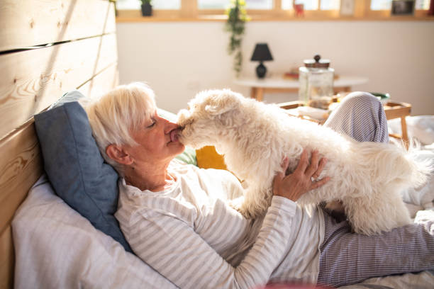 istock Spending the weekend with my best friend 1150755760