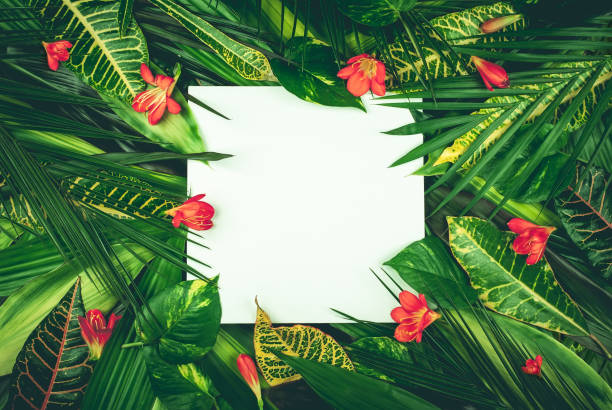 istock Composition with fresh tropical leaves and exotic flowers 1150755957