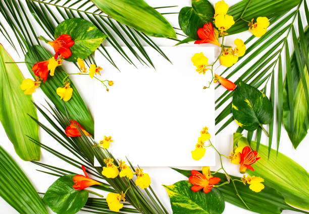 istock Composition with fresh tropical leaves and exotic flowers 1150755958
