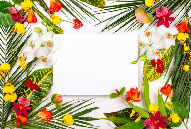 istock Composition with fresh tropical leaves and exotic flowers 1150755963
