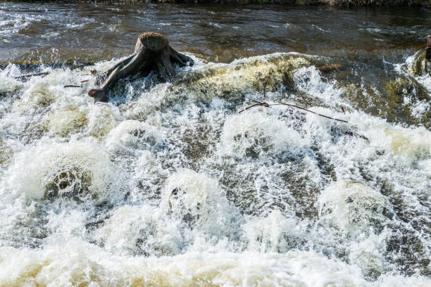 istock A torrential river at high tide in spring, Germany 1150756070