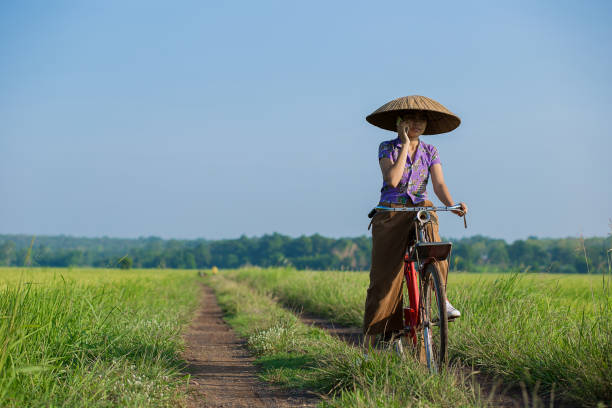 istock Farmer using smartphone check plant diseases at the rice fields. 1150756441