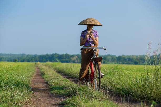 Farmer used smartphone check plant diseases at the rice fields.