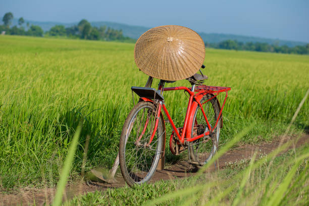 istock Farmers' bikes come to explore the fields. 1150756916