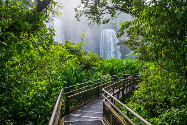 Salto Dos Hermanas waterfall in Iguazu National Park A walkway leads toward Salto Dos Hermanas (Two Sisters Waterfall) at Iguazu National Park in Argentina misiones province stock pictures, royalty-free photos & images