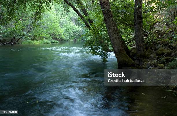 Foto de Cool Verde e mais fotos de stock de Cena de tranquilidade - Cena de tranquilidade, Fotografia - Imagem, Frio