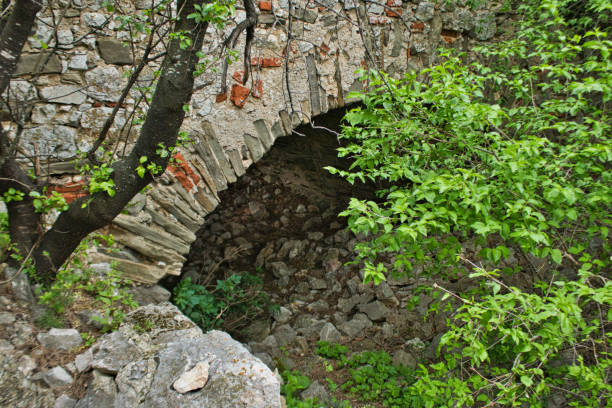 entry to a cave in the woods