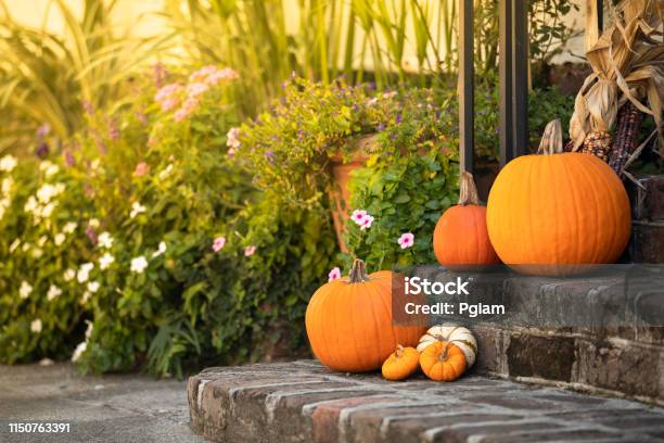 Pumpkin And Squash On The Front Entrance To A Home In Autumn Stock Photo - Download Image Now