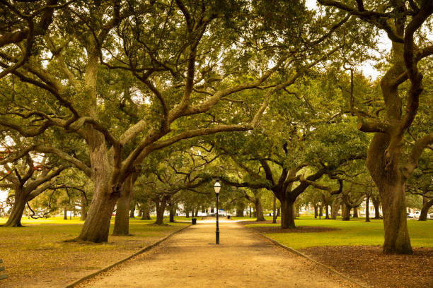 istock White Point Garden in Charleston South Carolina 1150763414