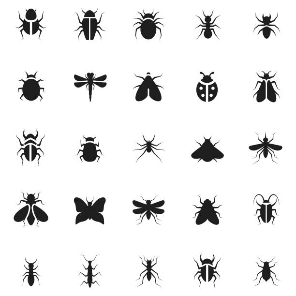 곤충 아이콘 세트 - 날기 일러스트 stock illustrations