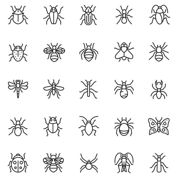 kuvapankkikuvitukset aiheesta hyönteiskuvakkeen vektorisarja - housefly