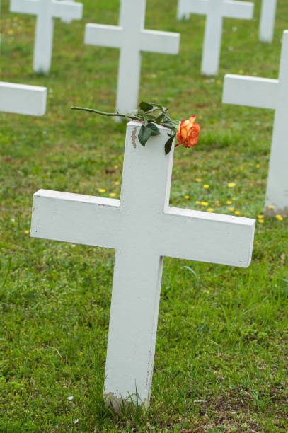 istock orange rose on tomb at military cemetery 1150764972