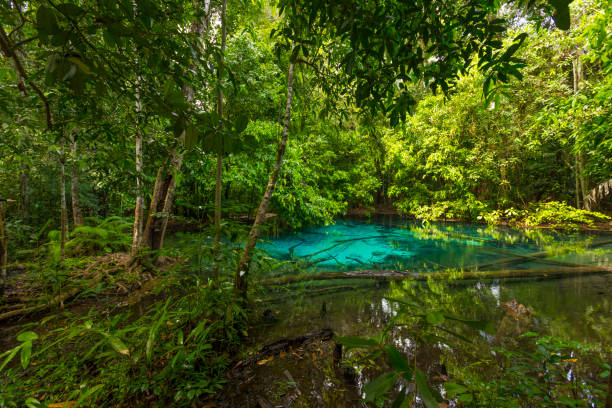 istock Emerald Pool (Sra Morakot) in Krabi province, Thailand. 1150765530