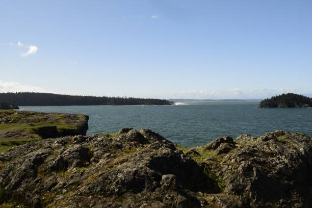 istock A View Of Bowman Bay Near Cliff At Deception Pass State Park 1150766561