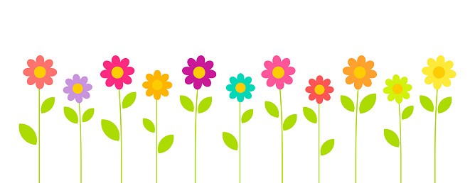 Colorful summer flowers growing in the garden on white background. Flower vector card.