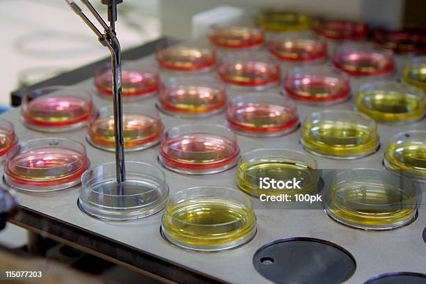 Equipamento De Laboratório De Pesquisa De Dna - Fotografias de stock e mais imagens de ADN - ADN, Amarelo, Disco de Petri