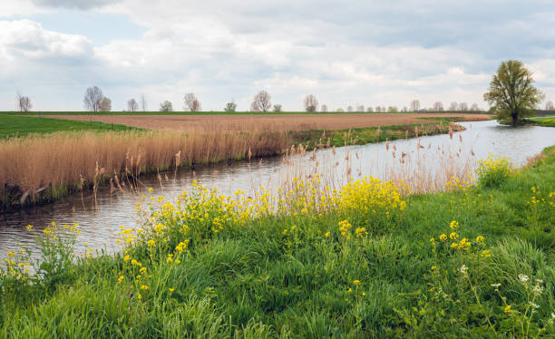 istock Meandering creek in a Dutch polder landscape 1150773071