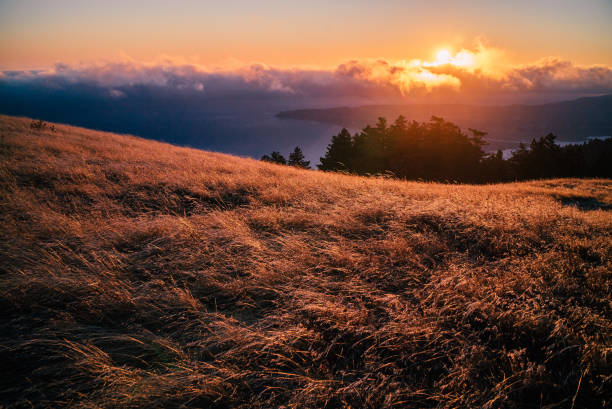 istock View of grassy hillside at sunrise 1150773635