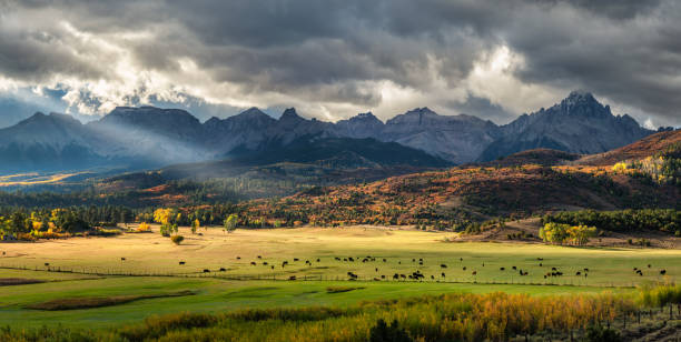 Autumn at a cattle ranch in Colorado near Ridgway - County Road 9 - Ralph Lauren Double RL - Rocky Mountains Autumn at a cattle ranch in Colorado near Ridgway - County Road 9 - Ralph Lauren Double RL - Rocky Mountains aspen colorado photos stock pictures, royalty-free photos & images