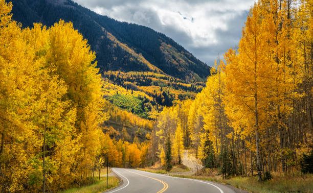 vistas de outono entre telluride e delores highway 145 - autumn road landscape mountain - fotografias e filmes do acervo