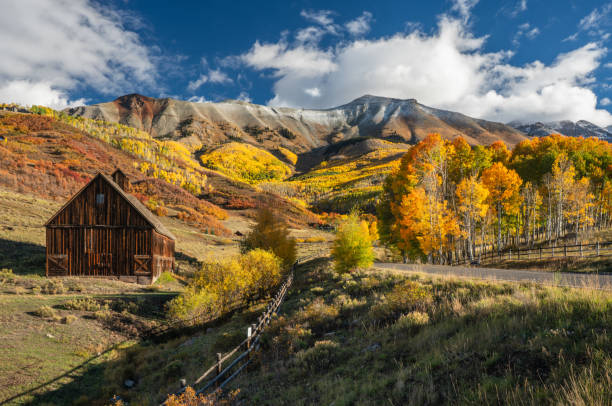 Golden Autumn Aspen on Last Dollar Road near Telluride Colorado Golden Autumn Aspen on Last Dollar Road near Telluride Colorado ridgway stock pictures, royalty-free photos & images