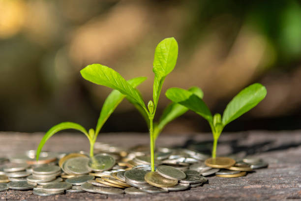 istock Trees with money, saving money and growing hands. 1150776500