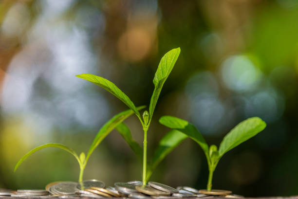 istock Trees with money, saving money and growing hands. 1150776513